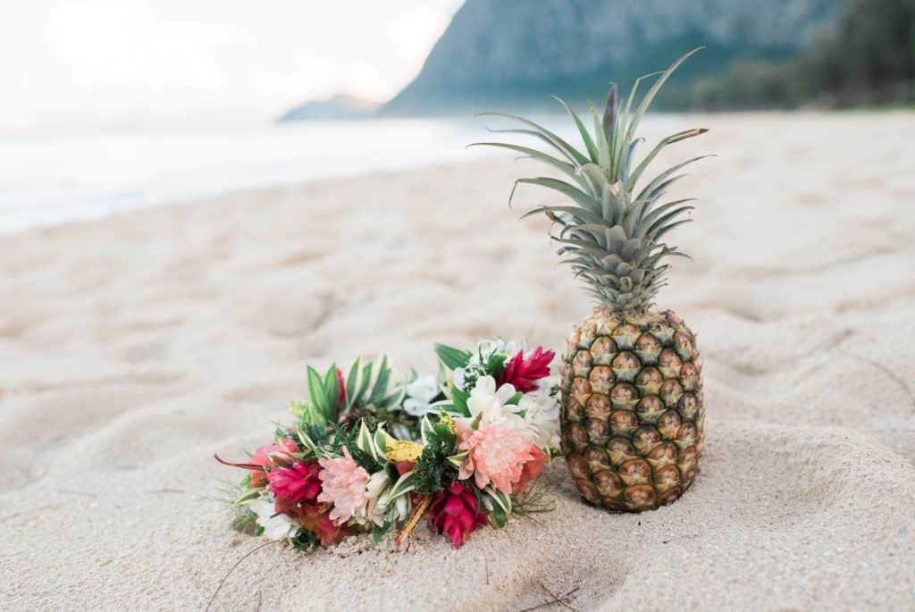 Kristal Sean - Waimanalo Bay Beach Elopement on Oahu 