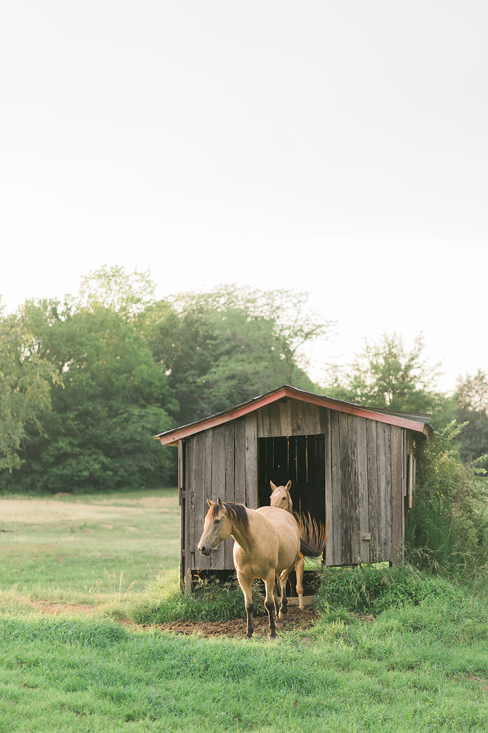 Alaina + Grayson Wedding