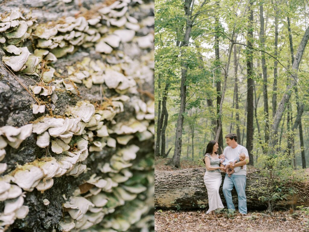 Umstead park family photography by Rae Marshall with twins in Raleigh, North Carolina.